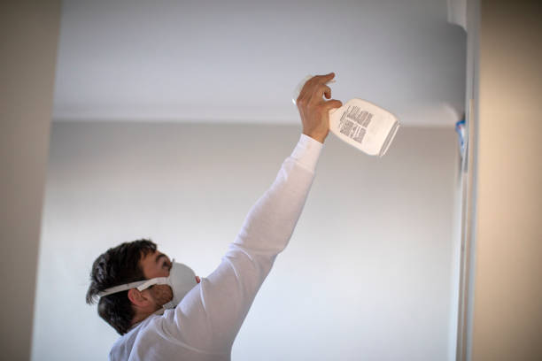 Best Emergency Mold Remediation in Hawkinsville, GA