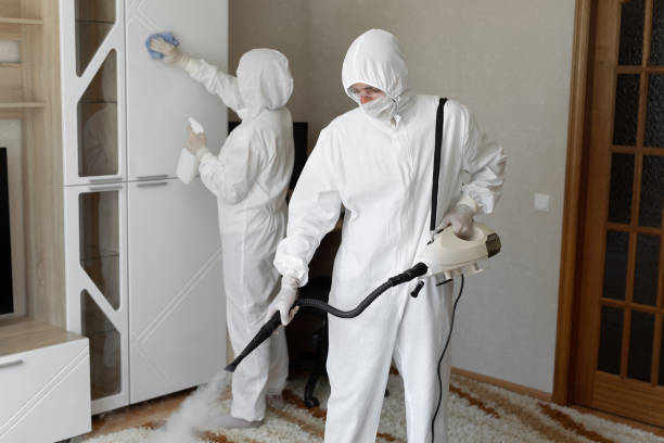 Best DIY Mold Remediation Support Services in Hawkinsville, GA
